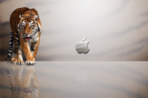 Apple MAC Tiger579149790 300x200 - Apple MAC Tiger - Tiger, iPhone, Apple
